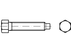 DIN 561 22 H (8.8) Sechskantschrauben mit Zapfen und kleinem Sechskant, mit Gewi