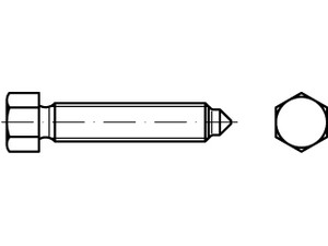 DIN 564 Sechskantschrauben mit Ansatzspitze