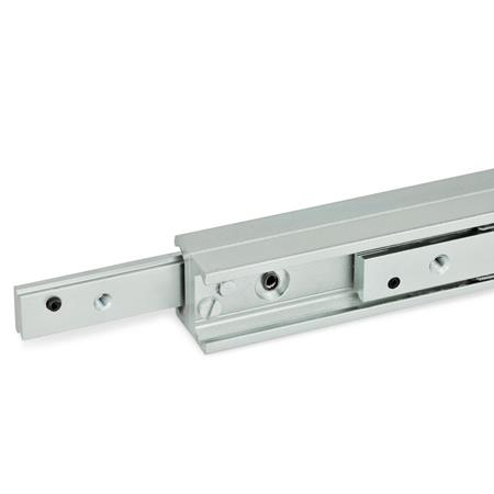 GN 2408 Teleskop-Linearkugellager