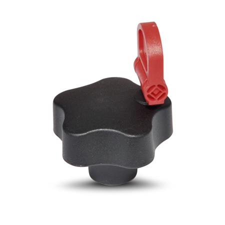 GN 5337.8 Sicherheits-Sterngriffe mit Schlüssel