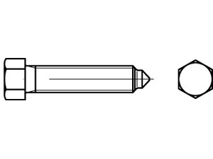 DIN 564 22 H (8.8) Sechskantschrauben mit Auslauf, Ansatzspitze und kleinem Sech