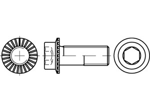 Artikel 88912 100 RIPP flZn/TL 480h (zinklamellenbesch.) Zylinder-Flanschschraub