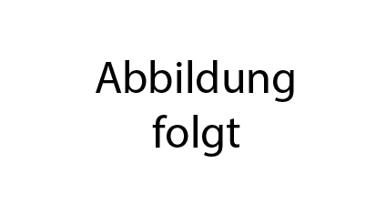 Artikel 82720 Sapi Kabelbinder CLICKTIE