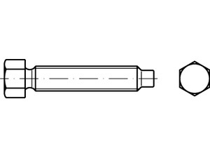 DIN 561 22 H (8.8) Ri Sechskantschrauben mit Zapfen und kleinem Sechskant,mit Ri