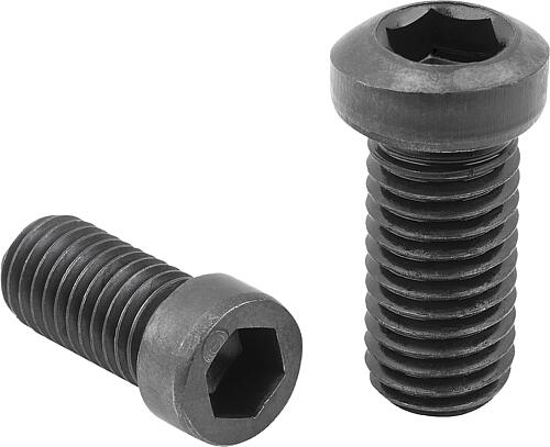 Ersatzschrauben für Spann-Exzenterschrauben