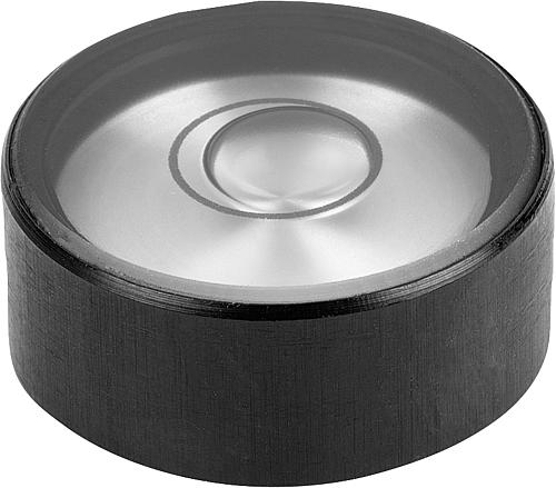 Dosenlibellenkörper