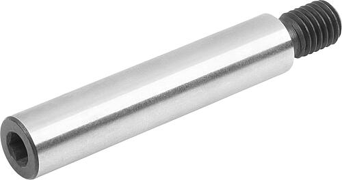Führungsbolzen Stahl mit Gewinde