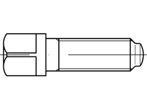 DIN 480 10.9 M 20 x 60 SW 22 VE=S