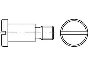 DIN 923 1.4305 M 8 x 20 rostfrei A 1 VE=S