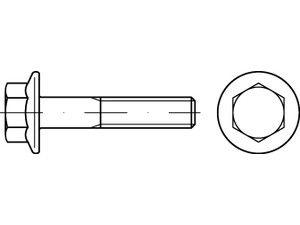 DIN 6921 10.9 M 16 x 70 VE=S