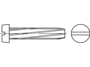DIN 7513 Stahl B M 6 x 25 galv. verzinkt gal Zn VE=S