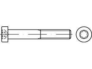 DIN 7984 08.8 M 8 x 30 gal Zn, Antr. Innensechsrund gal Zn VE=S