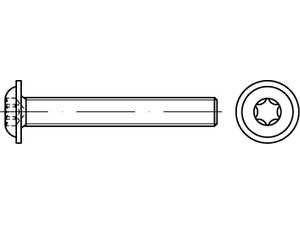 ISO 7380 -2 A 2 M 10 x 55 -T50 Vollgewinde A 2 VE=S