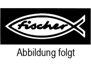 ART 81018 FISCHER-dynamic-Anker FDA-A St. gal Zn 12 x 100/25 VE=S