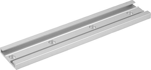 FÜHRUNGSSCHIENE DRYLIN® N MIT DURCHGANGSBOHRUNG FÜR M04, ALUMINIUM ELOXIERT, ...