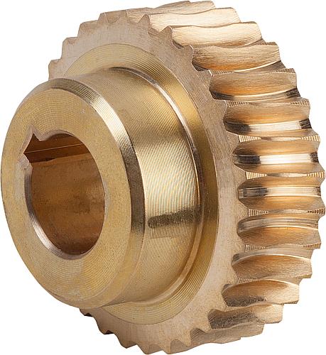 SCHNECKENRAD, RECHTSGÄNGIG, U=50:1, A=25, D2=30,04, MESSING