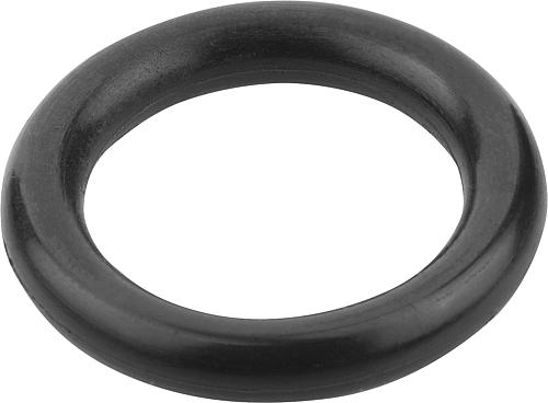 O-RING EPDM, SCHWARZ D1=102, D2=5