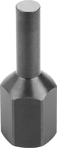 AUFLAGEBOLZEN STIFTFORM, FORM:D INNENGEWINDE D=M12, D1=8, H=60, SW=19, VERGÜT...