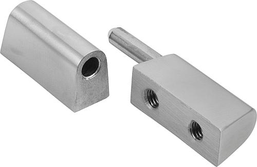 SCHARNIER ANSCHRAUBBAR D=M06 76X18,5, EDELSTAHL A4 1.4404 SEIDENMATT POLIERT