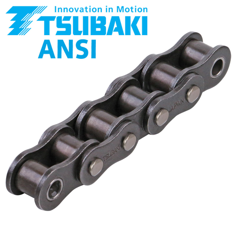 A10700000W Einfach-Rollenkette 60-1 Premium