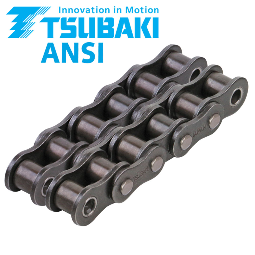 A12800000W Zweifach-Rollenkette 80-2 Premium