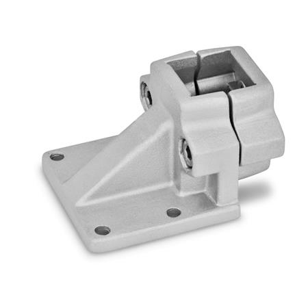 GN 166-V60-2-BL